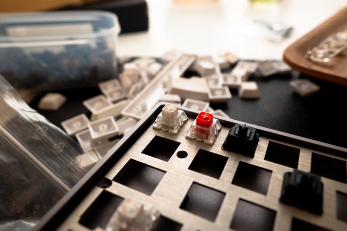 Keyboard plate with switches Keyboard plate with switches